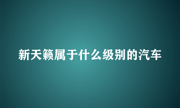 新天籁属于什么级别的汽车