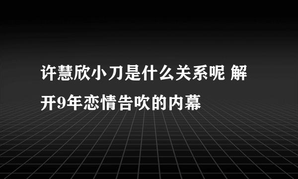 许慧欣小刀是什么关系呢 解开9年恋情告吹的内幕