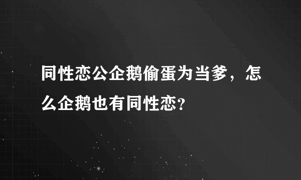 同性恋公企鹅偷蛋为当爹，怎么企鹅也有同性恋？