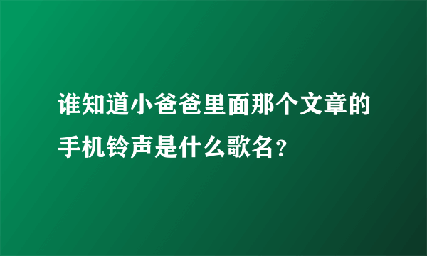 谁知道小爸爸里面那个文章的手机铃声是什么歌名？