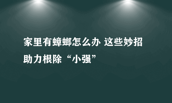 家里有蟑螂怎么办 这些妙招助力根除“小强”