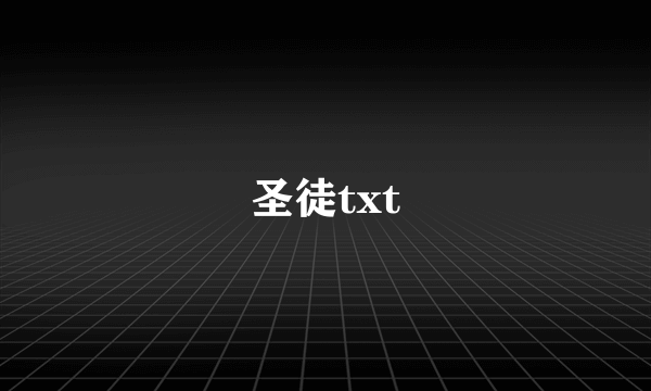 圣徒txt