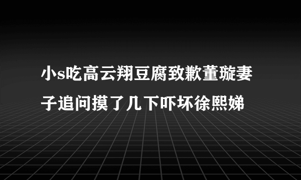 小s吃高云翔豆腐致歉董璇妻子追问摸了几下吓坏徐熙娣