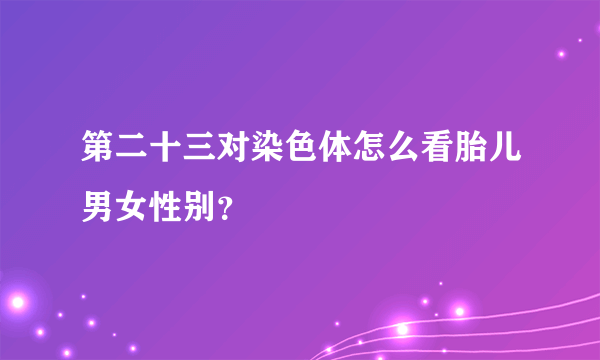 第二十三对染色体怎么看胎儿男女性别？