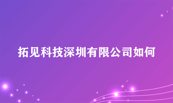 拓见科技深圳有限公司如何