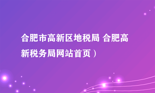 合肥市高新区地税局 合肥高新税务局网站首页）