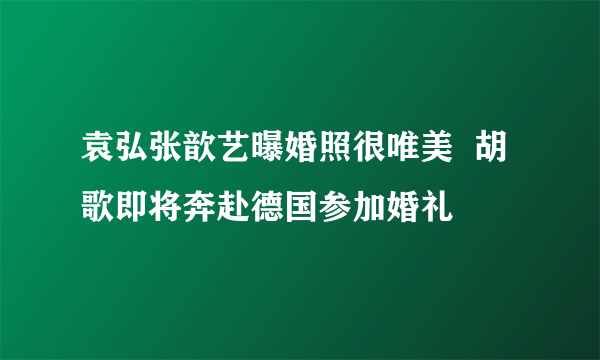 袁弘张歆艺曝婚照很唯美  胡歌即将奔赴德国参加婚礼