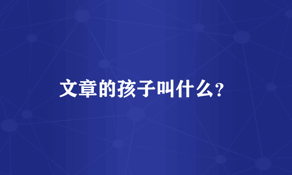 文章的孩子叫什么？