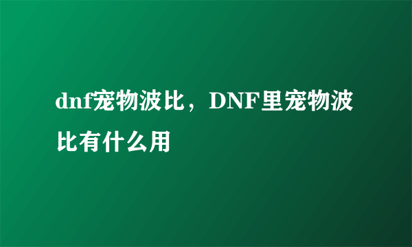 dnf宠物波比，DNF里宠物波比有什么用