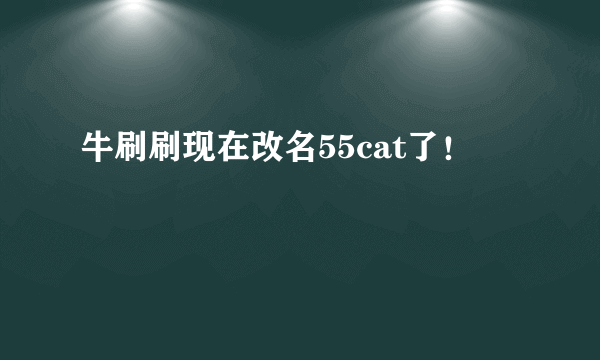 牛刷刷现在改名55cat了！