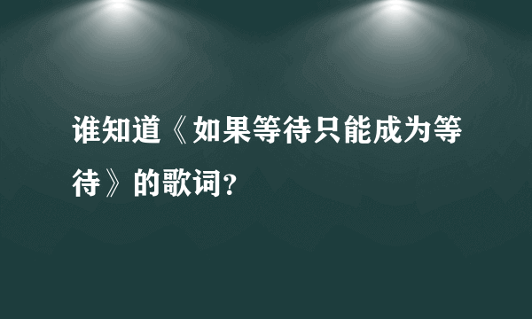 谁知道《如果等待只能成为等待》的歌词？