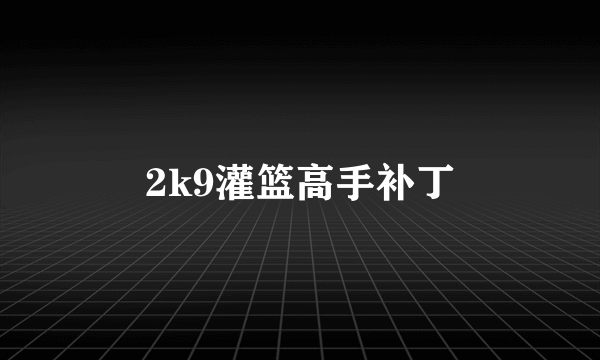 2k9灌篮高手补丁