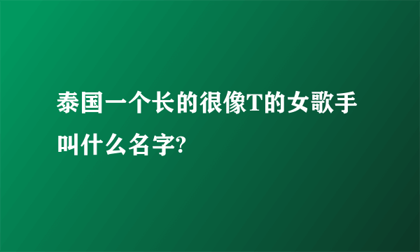 泰国一个长的很像T的女歌手叫什么名字?