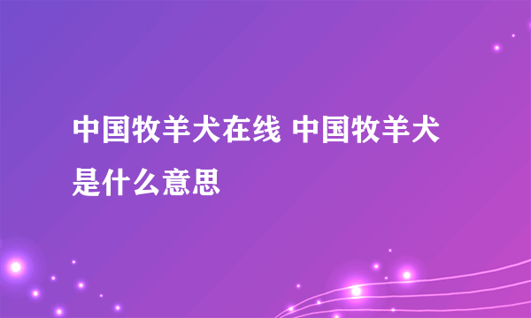 中国牧羊犬在线 中国牧羊犬是什么意思