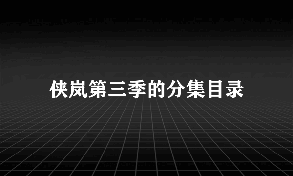 侠岚第三季的分集目录