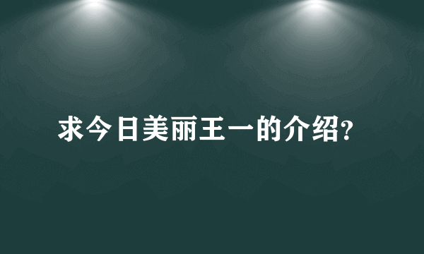 求今日美丽王一的介绍？