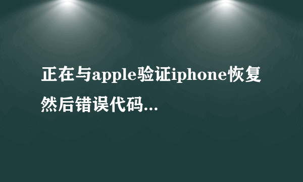 正在与apple验证iphone恢复 然后错误代码1602