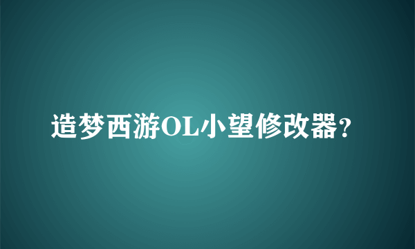 造梦西游OL小望修改器？