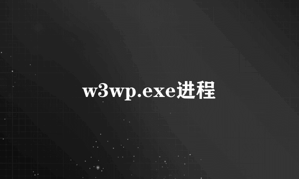 w3wp.exe进程