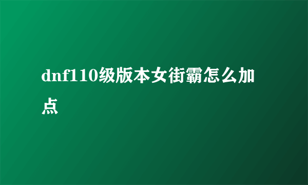 dnf110级版本女街霸怎么加点