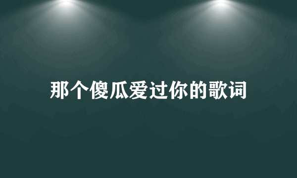 那个傻瓜爱过你的歌词