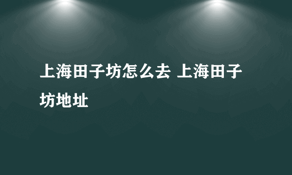 上海田子坊怎么去 上海田子坊地址