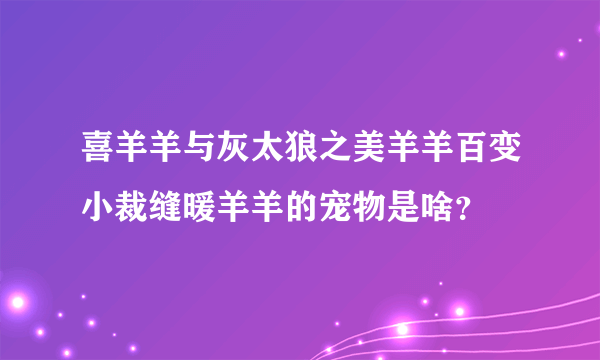 喜羊羊与灰太狼之美羊羊百变小裁缝暖羊羊的宠物是啥？