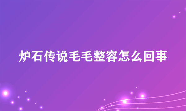 炉石传说毛毛整容怎么回事