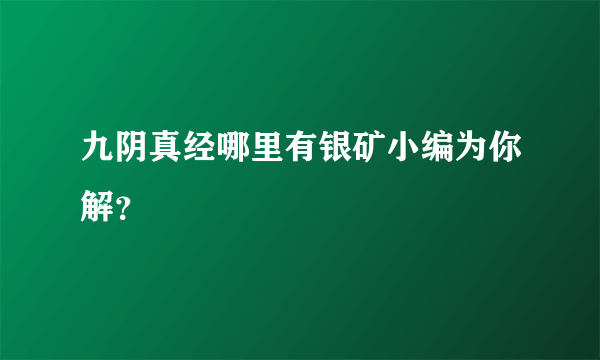 九阴真经哪里有银矿小编为你解？