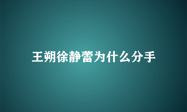 王朔徐静蕾为什么分手