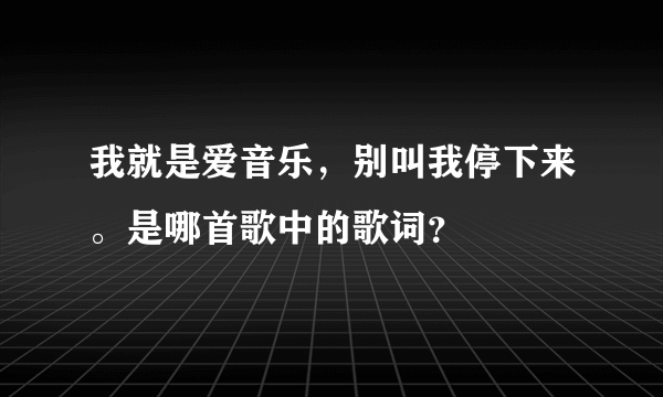 我就是爱音乐，别叫我停下来。是哪首歌中的歌词？