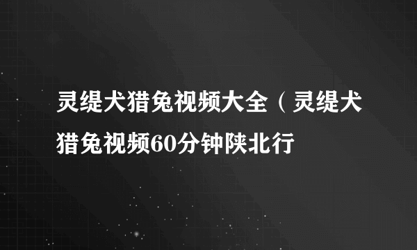 灵缇犬猎兔视频大全（灵缇犬猎兔视频60分钟陕北行