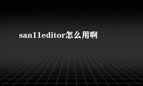 san11editor怎么用啊