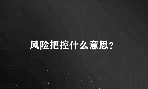 风险把控什么意思？