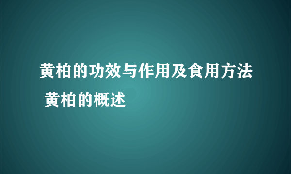 黄柏的功效与作用及食用方法 黄柏的概述