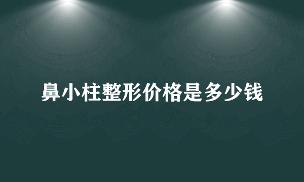 鼻小柱整形价格是多少钱