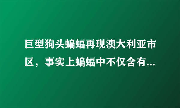 巨型狗头蝙蝠再现澳大利亚市区，事实上蝙蝠中不仅含有新型冠状病毒-飞外网