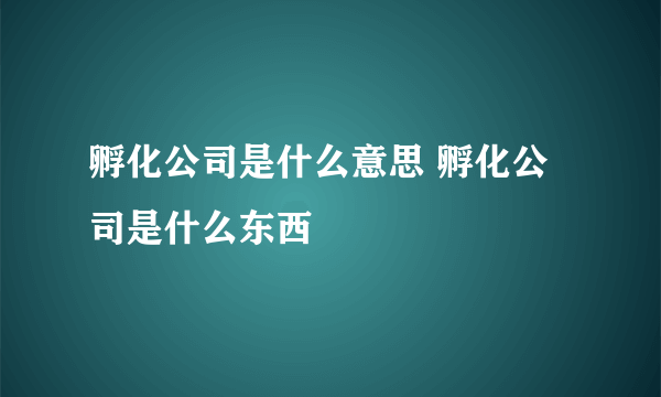 孵化公司是什么意思 孵化公司是什么东西