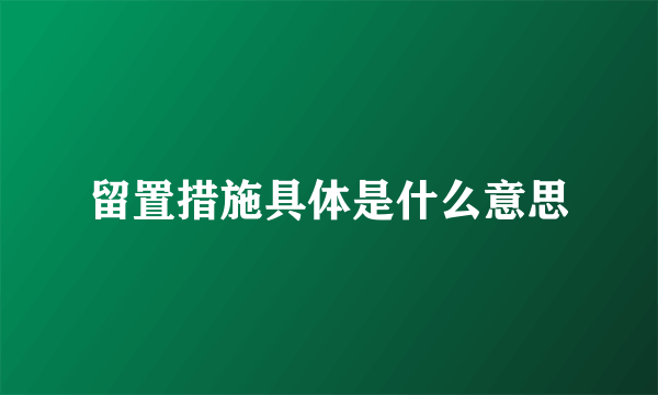 留置措施具体是什么意思