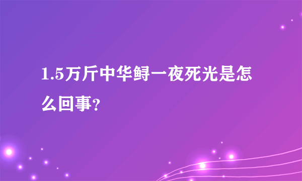 1.5万斤中华鲟一夜死光是怎么回事？