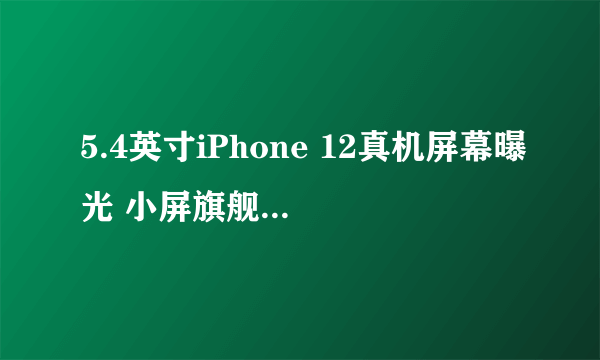 5.4英寸iPhone 12真机屏幕曝光 小屏旗舰依旧很香