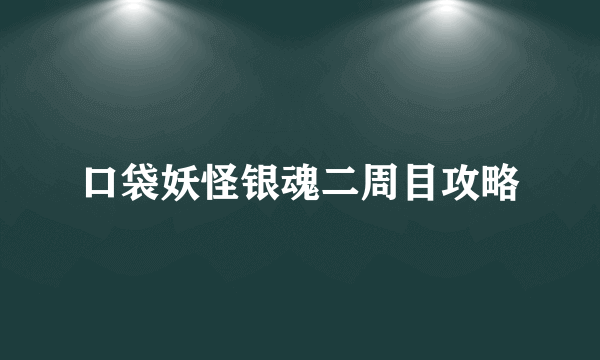 口袋妖怪银魂二周目攻略