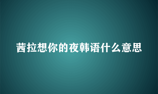 茜拉想你的夜韩语什么意思