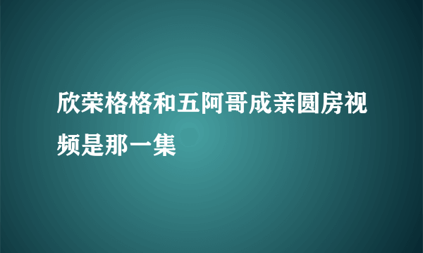 欣荣格格和五阿哥成亲圆房视频是那一集