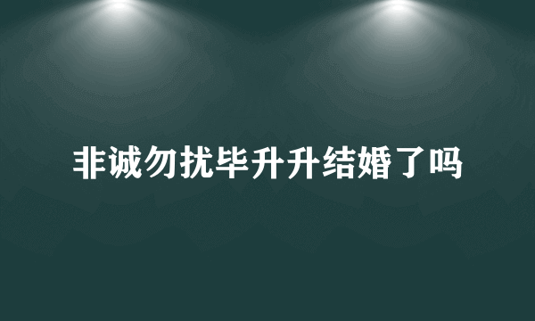 非诚勿扰毕升升结婚了吗