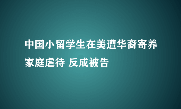 中国小留学生在美遭华裔寄养家庭虐待 反成被告