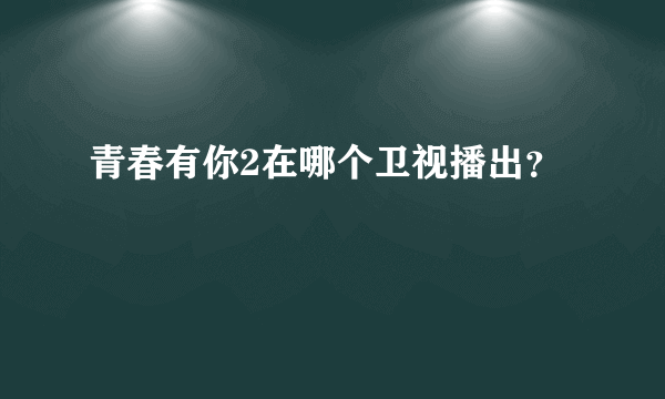 青春有你2在哪个卫视播出？