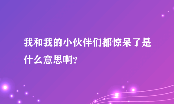 我和我的小伙伴们都惊呆了是什么意思啊？