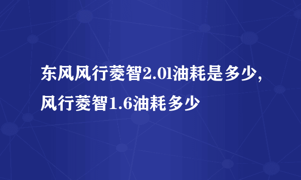 东风风行菱智2.0l油耗是多少,风行菱智1.6油耗多少