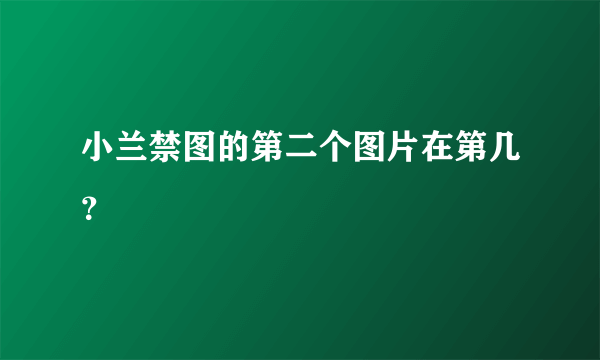 小兰禁图的第二个图片在第几？